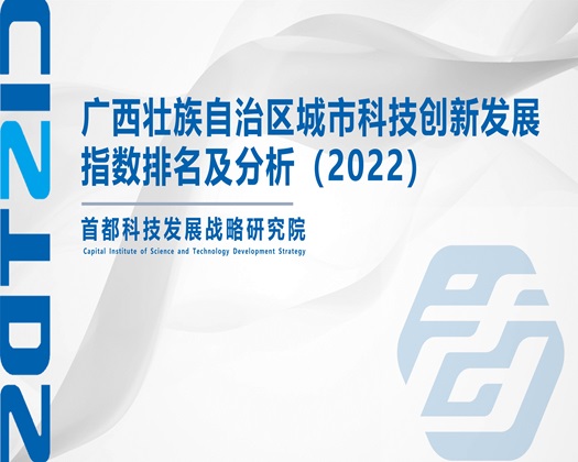 鸡巴网址视频【成果发布】广西壮族自治区城市科技创新发展指数排名及分析（2022）